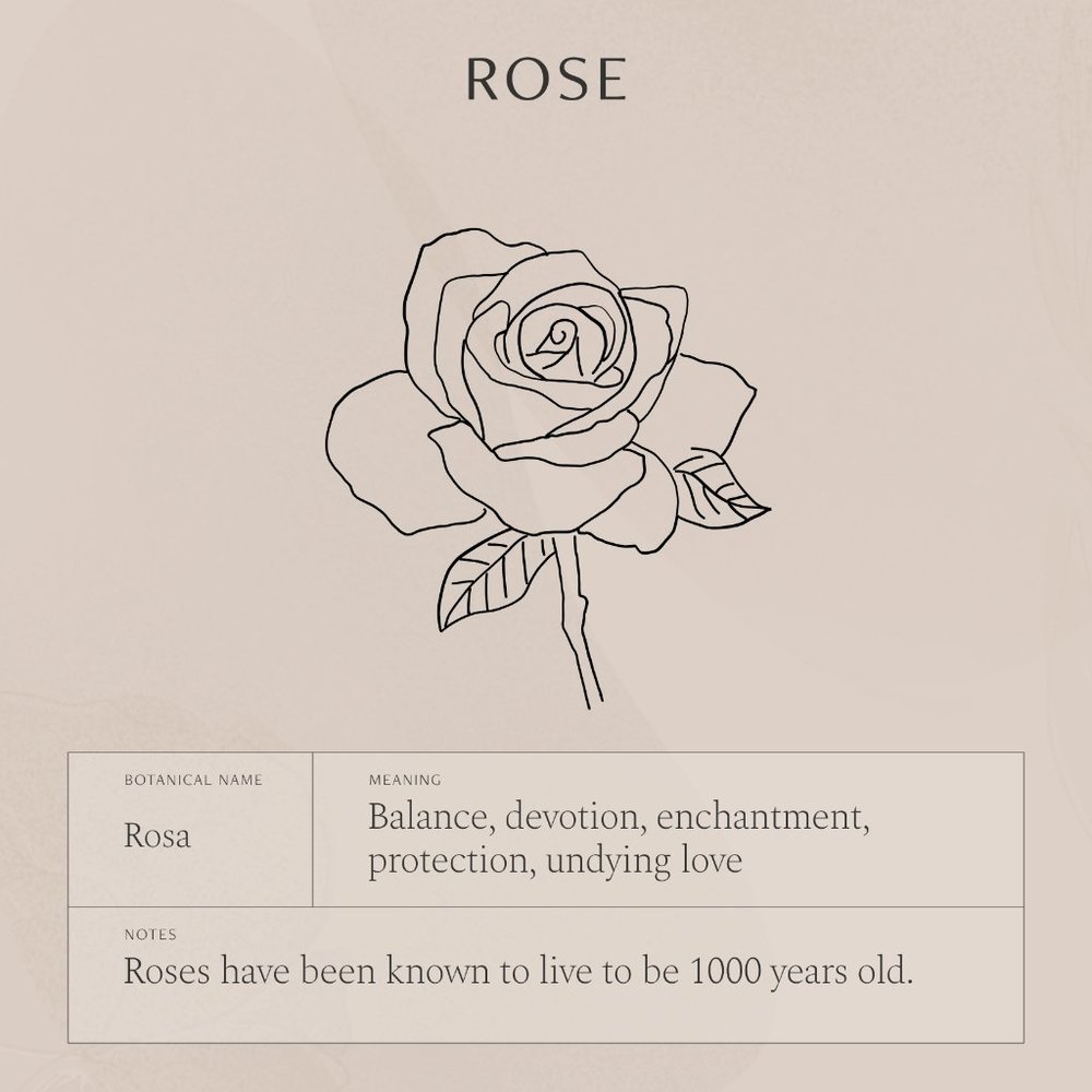 Rose June Birth Flower Engraved Cute Gift Necklace - Picture 8 of 16